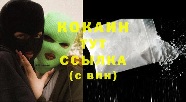 стафф Ельня
