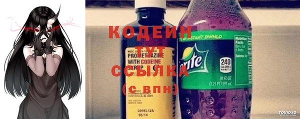шишки Елизово