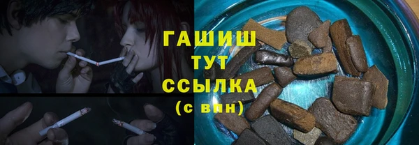 стафф Ельня