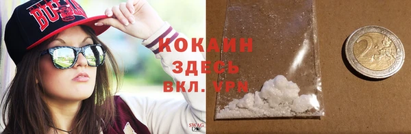 шишки Елизово