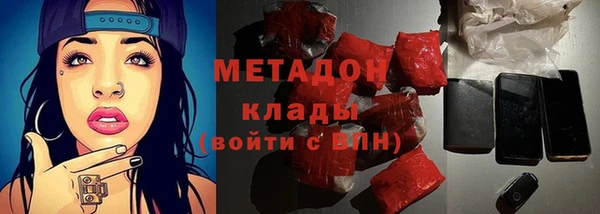 шишки Елизово