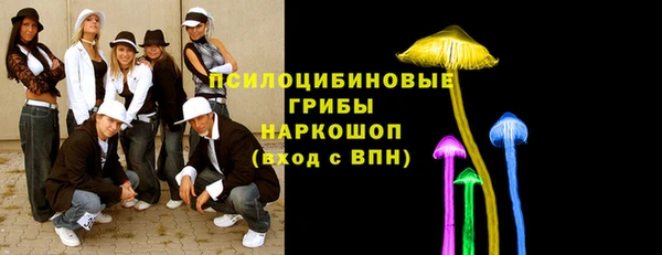 стафф Ельня