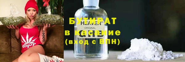 стафф Ельня