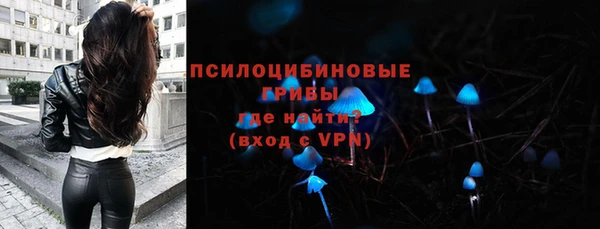 шишки Елизово