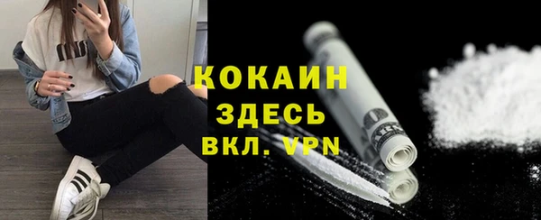 шишки Елизово
