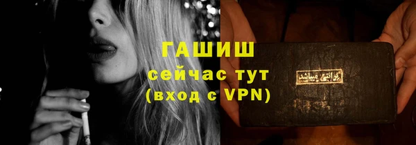 стафф Ельня