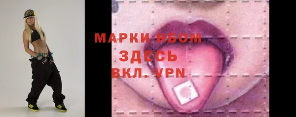 стафф Ельня