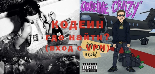 шишки Елизово