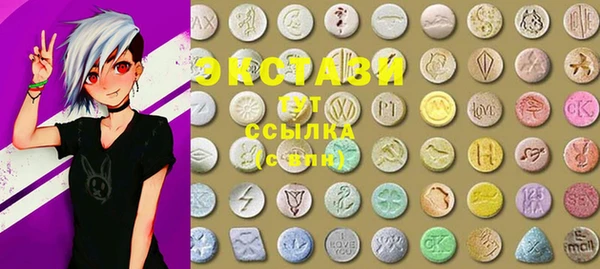 стафф Ельня