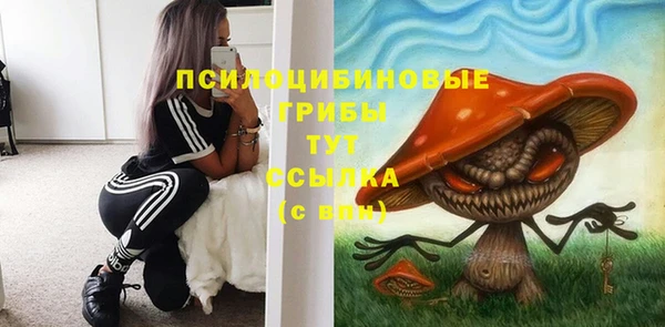 стафф Ельня