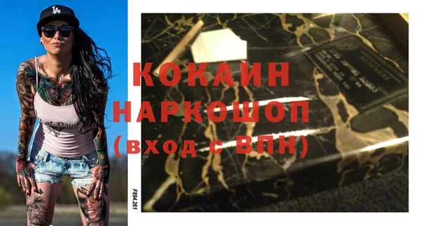 стафф Ельня