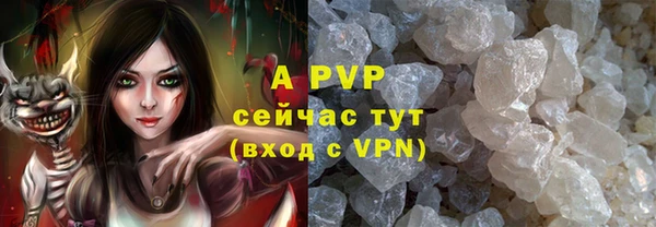 шишки Елизово