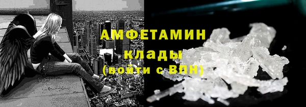 шишки Елизово