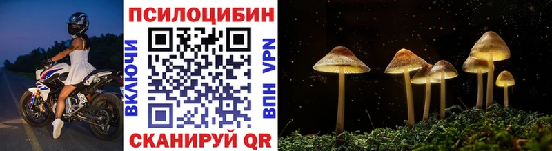 Галлюциногенные грибы Cubensis  Купить  Клин 
