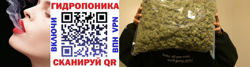 Конопля планчик Клин